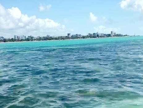 Na Beira Mar De Pajucara: Oceanview With Balcony Maceio (Alagoas)